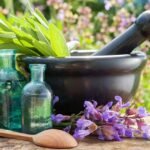 دراسة الطب البديل في الإسكندرية