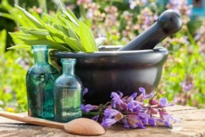 دراسة الطب البديل في الإسكندرية