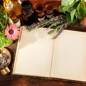 7 من أفضل الأعشاب للجسم لتحسين الصحة | أكاديمية EIF