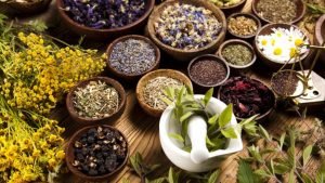 دراسة طب الأعشاب أونلاين