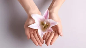 Aesthetic Gynecology Course